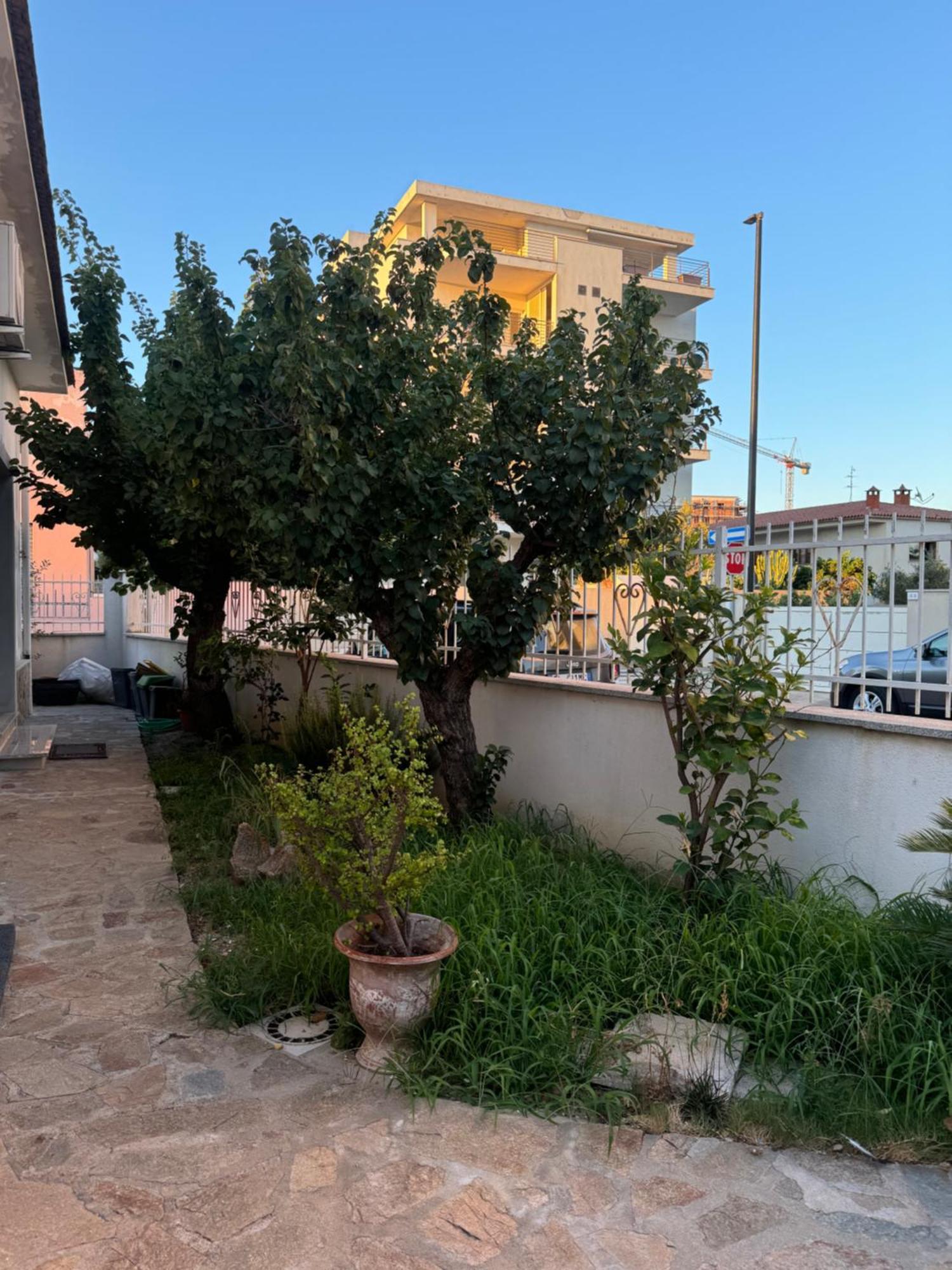 Da Gio Apartment Olbia Exterior foto